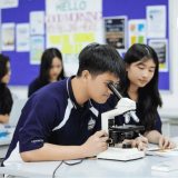 Rèn Luyện Tư Duy Phản Biện Với 8 Phương Pháp Hiệu Quả